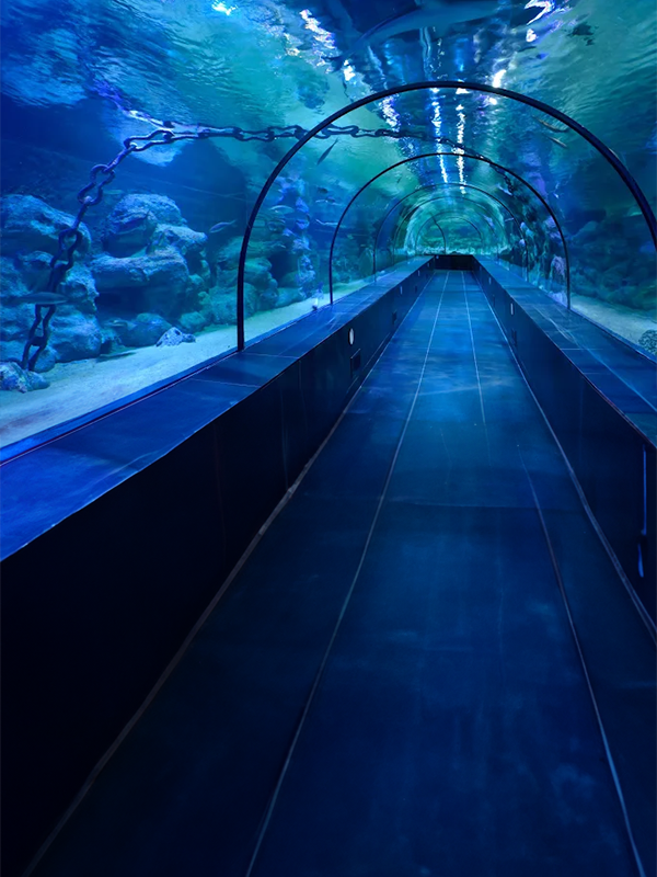 Tuzla Viasea Akvaryum