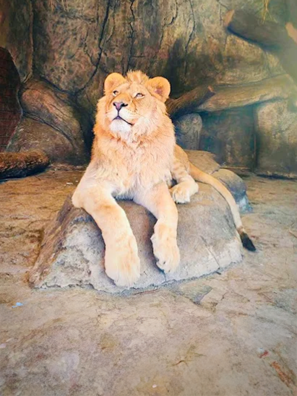 Tuzla Viasea Aslan Park