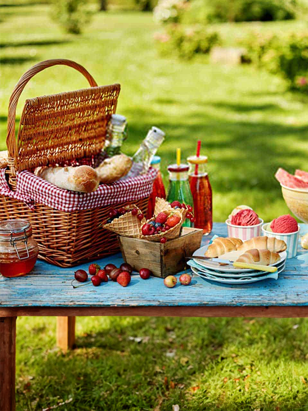 Yemek Piknik Organizasyonu